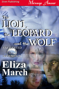 Enchanted Mountain book cover 1