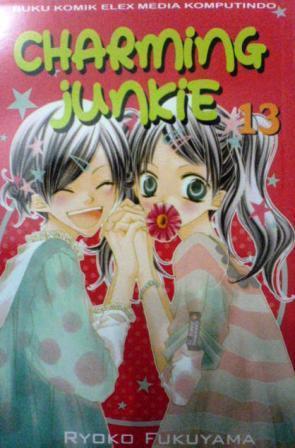 Charming Junkie 13 book cover
