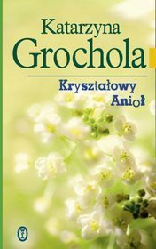 Kryształowy Anioł book cover