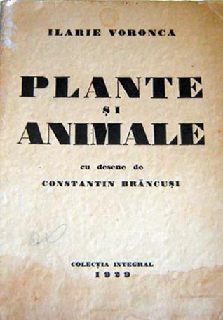 Plante şi animale. Terase