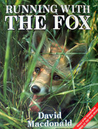 Running With the Fox book cover