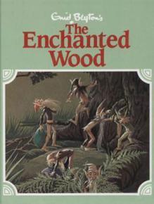 The Enchanted Wood (The Faraway Tree, #1)