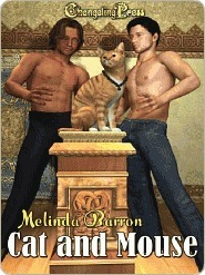 Cat and Mouse book cover