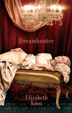 Dreamhunter (The Dreamhunter Duet, #1)