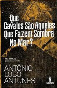 Que Cavalos São Aqueles que Fazem Sombra no Mar? book cover