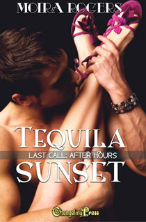 Tequila Sunset book cover