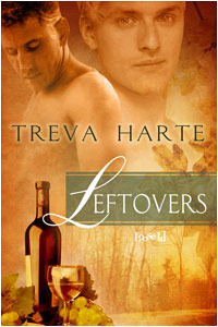 Leftovers book cover