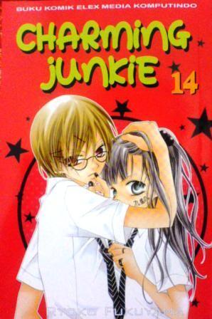 Charming Junkie Vol. 14 book cover