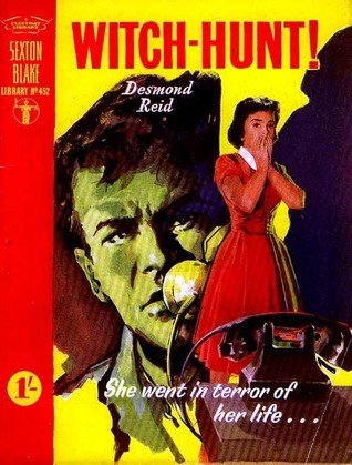 Witch-Hunt! book cover
