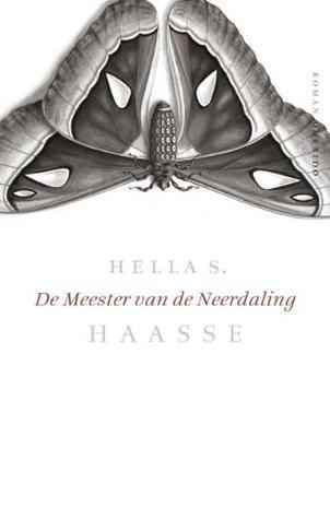 De Meester van de Neerdaling book cover