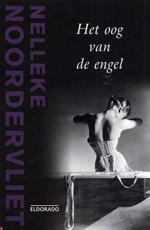 Het oog van de engel book cover