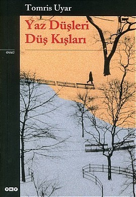 Yaz Düşleri Düş Kışları book cover