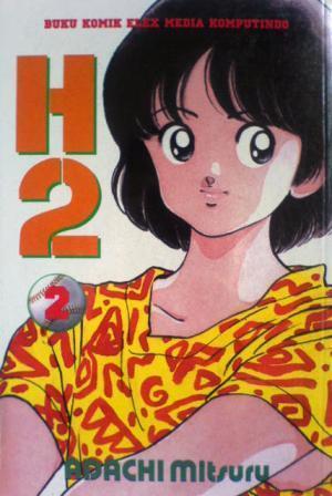H2 book cover 2