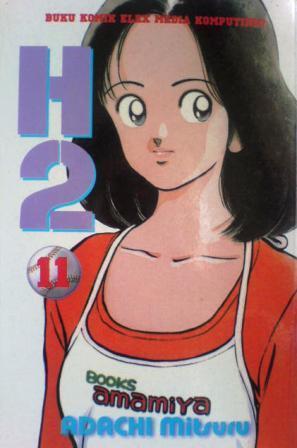 H2 book cover 3