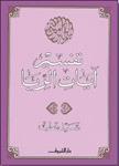 تفسير آيات الربا book cover