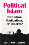 Political Islam book cover