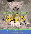 Northwest Animal Babies book cover