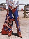 Rodeo Girl by Lisa Eisner | Goodreads
