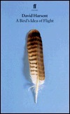 A Bird's Idea of Flight book cover