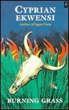 Burning Grass book cover