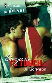 Dangerous to Touch book cover