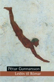 Skáldsaga Íslands book cover 1