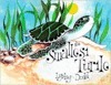 The Smallest Turtle