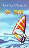 Big Burn book cover