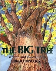 The Big Tree