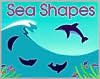 Sea Shapes by Suse MacDonald | Goodreads