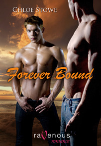 Forever Bound book cover 1