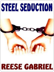 Steel Seduction book cover