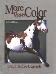 More Than Color book cover