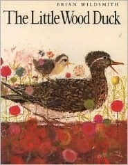 The Little Wood Duck book cover