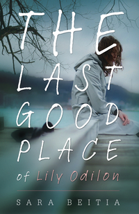 The Last Good Place of Lily Odilon book cover