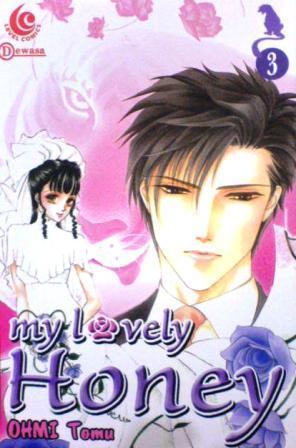 My Lovely Honey Vol. 3 book cover