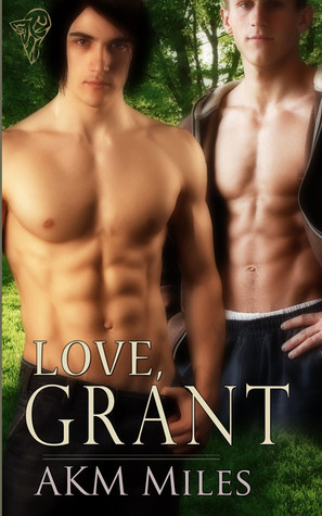 Love book cover 2