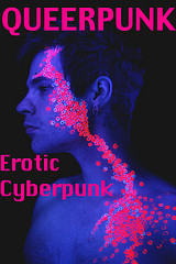 Queerpunk: Erotic Cyberpunk