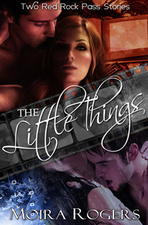 The Little Things book cover