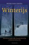 Winterijs