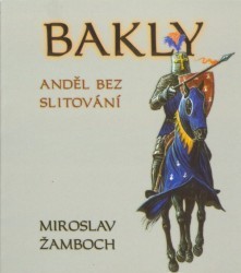 Anděl bez slitování book cover