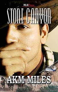 Stone Canyon book cover