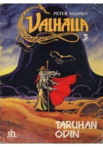Valhalla book cover 2