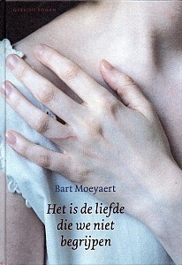 It's Love We Don't Understand book cover