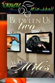 Between Us book cover 2