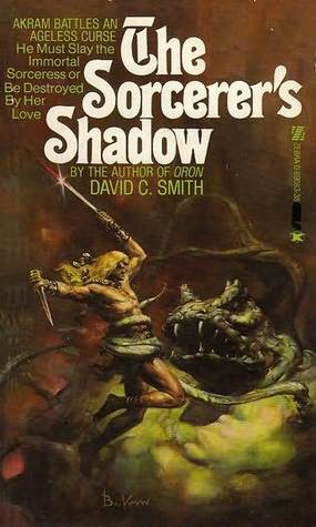 The Sorcerer's Shadow book cover