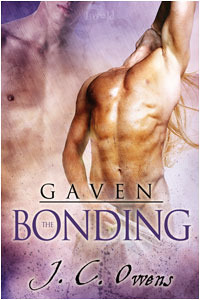 Gaven: The Bonding