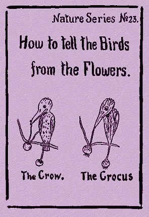 How to Tell the Birds From the Flowers book cover