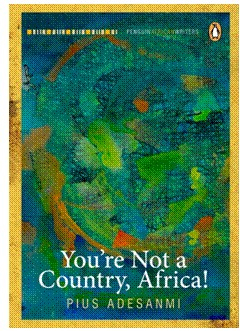 You're Not a Country, Africa! book cover
