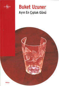 Ayın En Çıplak Günü book cover